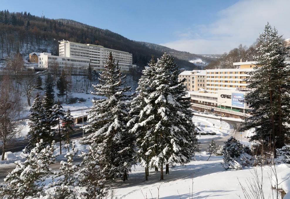 Hotel Luzice Яхимів Екстер'єр фото
